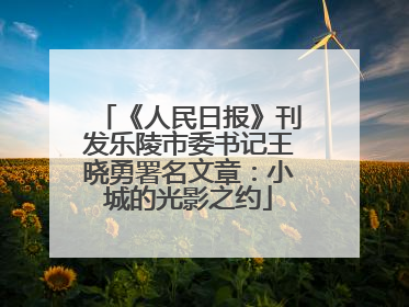 《人民日报》刊发乐陵市委书记王晓勇署名文章：小城的光影之约