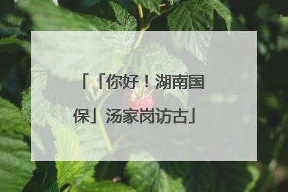 「你好！湖南国保」汤家岗访古