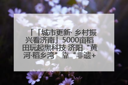 「城市更新· 乡村振兴看济南」5000亩稻田玩起黑科技 济阳“黄河·稻乡湾”靠“非遗+露营”火出圈