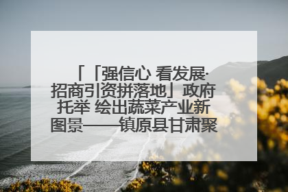 「强信心 看发展·招商引资拼落地」政府托举 绘出蔬菜产业新图景——镇原县甘肃聚广利现代设施蔬菜种植基地见闻
