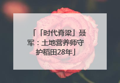 「时代脊梁」聂军：土地营养师守护稻田28年