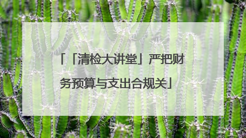 「清检大讲堂」严把财务预算与支出合规关