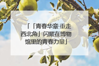 「青春华章·重走西北角」闪耀在博物馆里的青春力量
