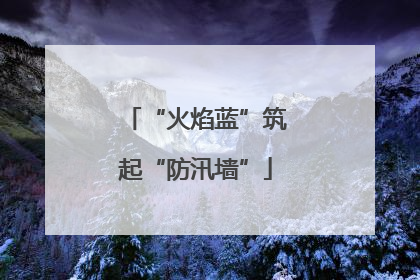 “火焰蓝”筑起“防汛墙”