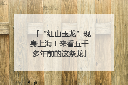 “红山玉龙”现身上海！来看五千多年前的这条龙