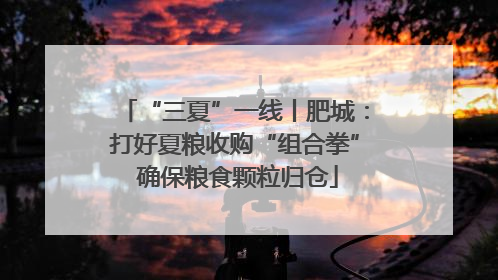 “三夏”一线丨肥城：打好夏粮收购“组合拳” 确保粮食颗粒归仓