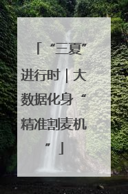 “三夏”进行时｜大数据化身“精准割麦机”