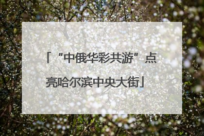 “中俄华彩共游”点亮哈尔滨中央大街