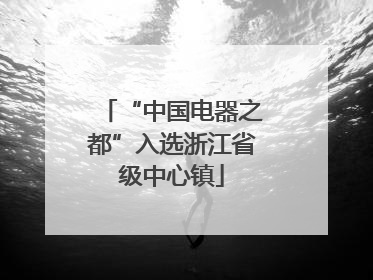 “中国电器之都”入选浙江省级中心镇