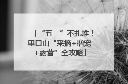 “五一”不扎堆！里口山“采摘+撸宠+露营”全攻略