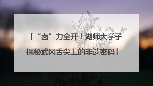 “卤”力全开！湖师大学子探秘武冈舌尖上的非遗密码