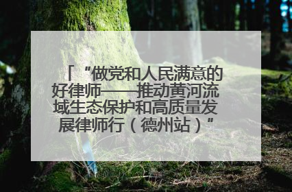 “做党和人民满意的好律师——推动黄河流域生态保护和高质量发展律师行（德州站）”活动成功举办