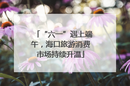 “六一”遇上端午，海口旅游消费市场持续升温