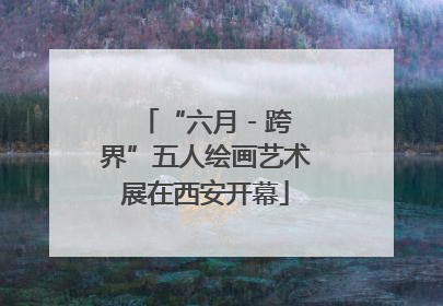 “六月 - 跨界”五人绘画艺术展在西安开幕
