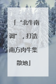 “北牛南调”，打造南方肉牛集散地