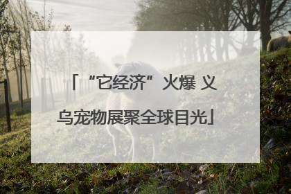 “它经济”火爆 义乌宠物展聚全球目光