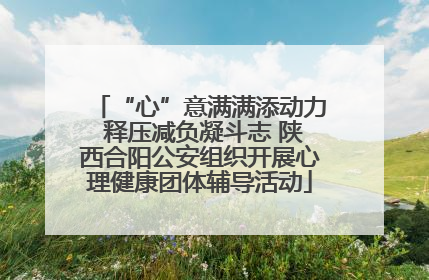 “心”意满满添动力 释压减负凝斗志 陕西合阳公安组织开展心理健康团体辅导活动