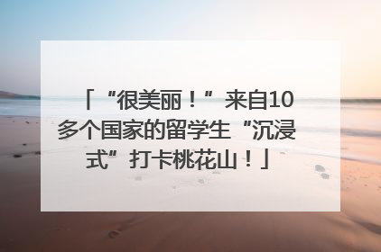 “很美丽！”来自10多个国家的留学生“沉浸式”打卡桃花山！