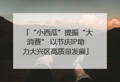 “小西瓜”提振“大消费” 以节庆IP助力大兴区高质量发展