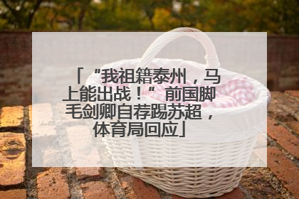 “我祖籍泰州，马上能出战！”前国脚毛剑卿自荐踢苏超，体育局回应