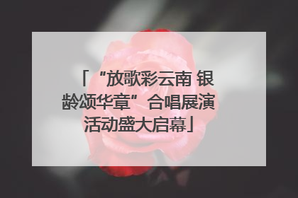 “放歌彩云南 银龄颂华章”合唱展演活动盛大启幕