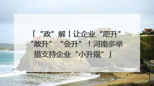 “政”解丨让企业“愿升”“敢升”“会升”！河南多举措支持企业“小升规”
