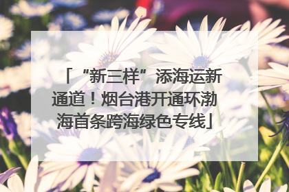 “新三样”添海运新通道！烟台港开通环渤海首条跨海绿色专线
