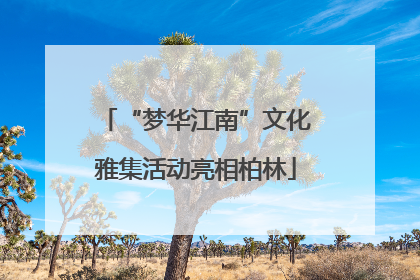 “梦华江南”文化雅集活动亮相柏林