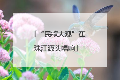 “民歌大观”在珠江源头唱响