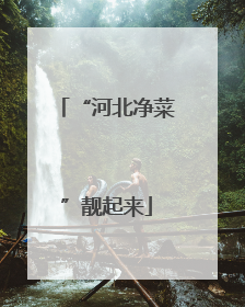 “河北净菜”靓起来
