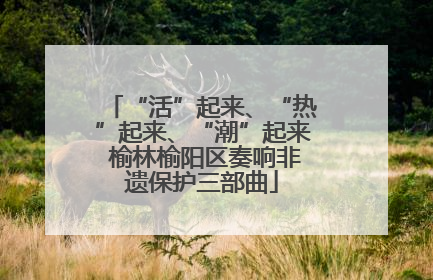 “活”起来、“热”起来、“潮”起来 榆林榆阳区奏响非遗保护三部曲