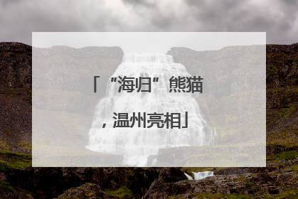 “海归”熊猫，温州亮相