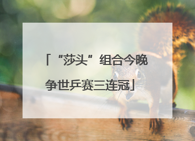 “莎头”组合今晚争世乒赛三连冠