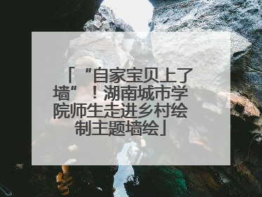 “自家宝贝上了墙”！湖南城市学院师生走进乡村绘制主题墙绘