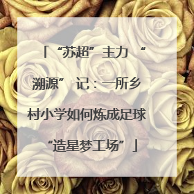 “苏超”主力 “溯源” 记：一所乡村小学如何炼成足球 “造星梦工场”