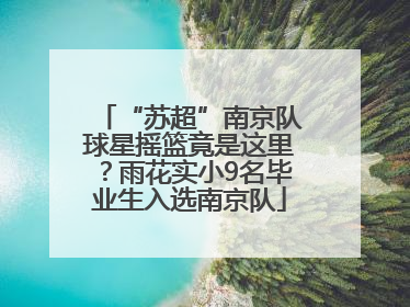 “苏超”南京队球星摇篮竟是这里？雨花实小9名毕业生入选南京队