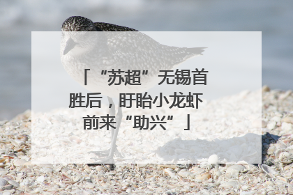 “苏超”无锡首胜后，盱眙小龙虾前来“助兴”