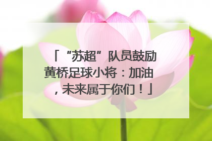 “苏超”队员鼓励黄桥足球小将：加油，未来属于你们！