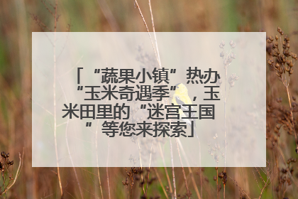 “蔬果小镇”热办“玉米奇遇季”，玉米田里的“迷宫王国”等您来探索