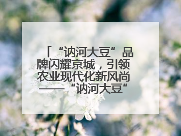 “讷河大豆”品牌闪耀京城，引领农业现代化新风尚——“讷河大豆”品牌新发地推介会圆满落幕