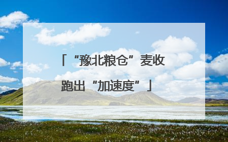 “豫北粮仓”麦收跑出“加速度”