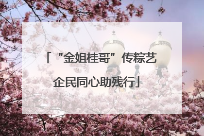 “金姐桂哥”传粽艺 企民同心助残行