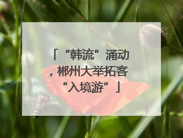 “韩流”涌动，郴州大举拓客“入境游”