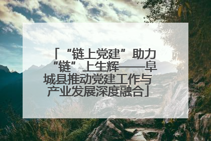 “链上党建”助力“链”上生辉——阜城县推动党建工作与产业发展深度融合
