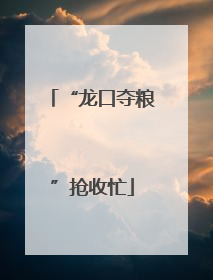 “龙口夺粮”抢收忙