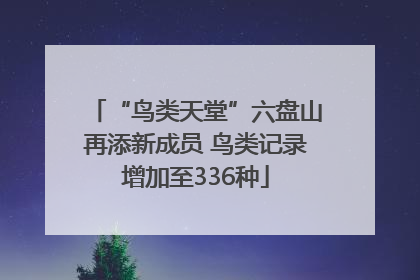 “鸟类天堂”六盘山再添新成员 鸟类记录增加至336种