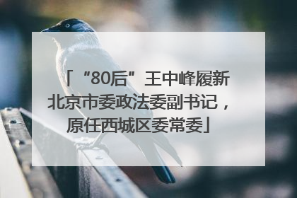 “80后”王中峰履新北京市委政法委副书记，原任西城区委常委
