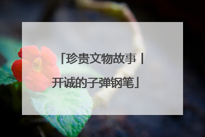 珍贵文物故事丨开诚的子弹钢笔
