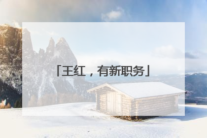 王红，有新职务