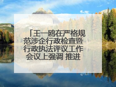 王一鸥在严格规范涉企行政检查暨行政执法评议工作会议上强调 推进涉企行政检查质效大幅提升